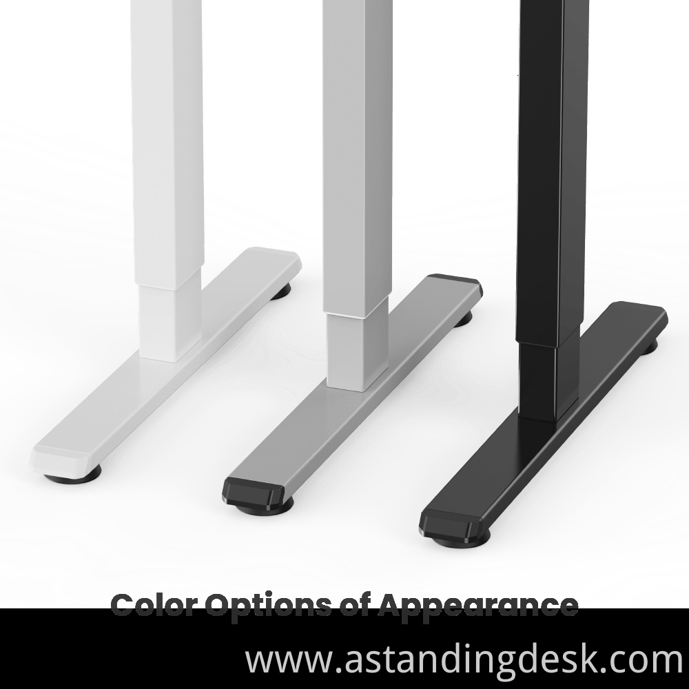 Modern Luxury Office Sit Stand Dual Motor Desk